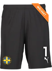 391942103101 PUMA T Goal Shorts 391942103101 PUMA T Goal Shorts Standard Small1x1