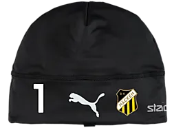314791101101 PUMA Liga 21 Beanie 314791101101 PUMA Liga 21 Beanie Standard Small1x1
