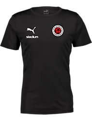 397379103101 PUMA T Rise Matchday Jsy 397379103101 PUMA T Rise Matchday Jsy Standard Small1x1