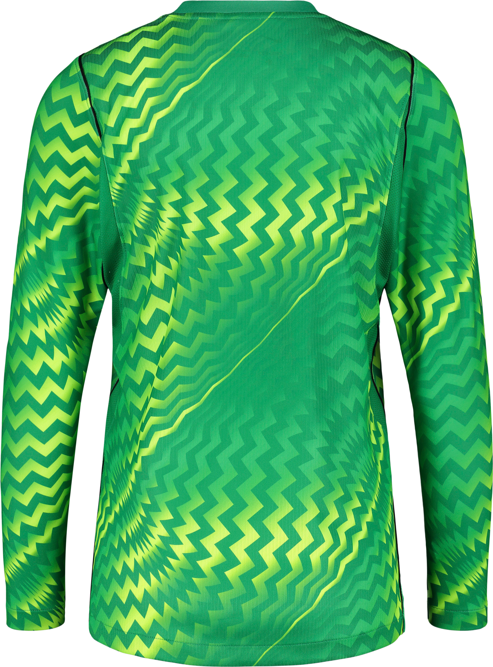 NIKE, GARDIEN VI GK LS JSY W