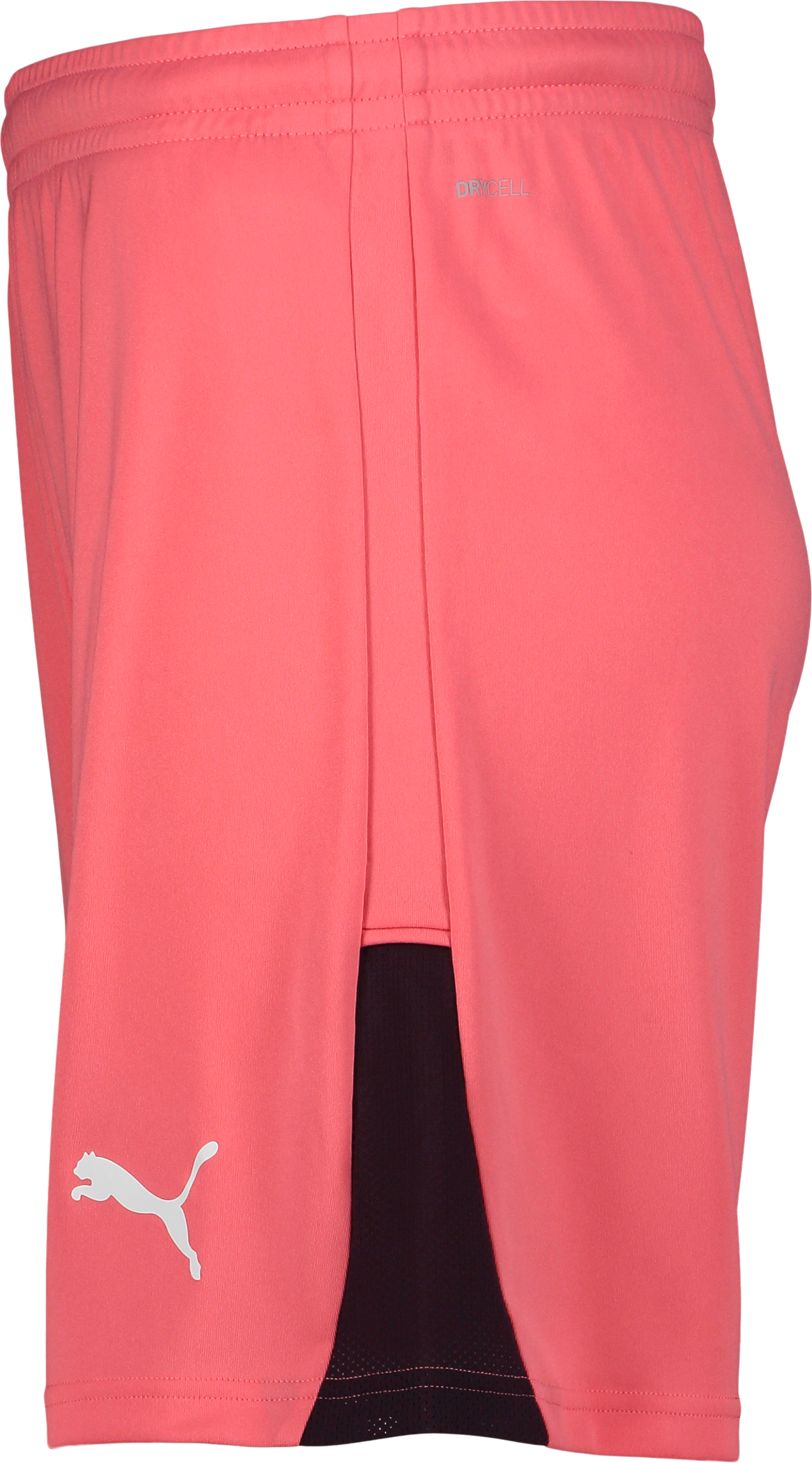 PUMA, TEAMLIGA26 SHORTS JR