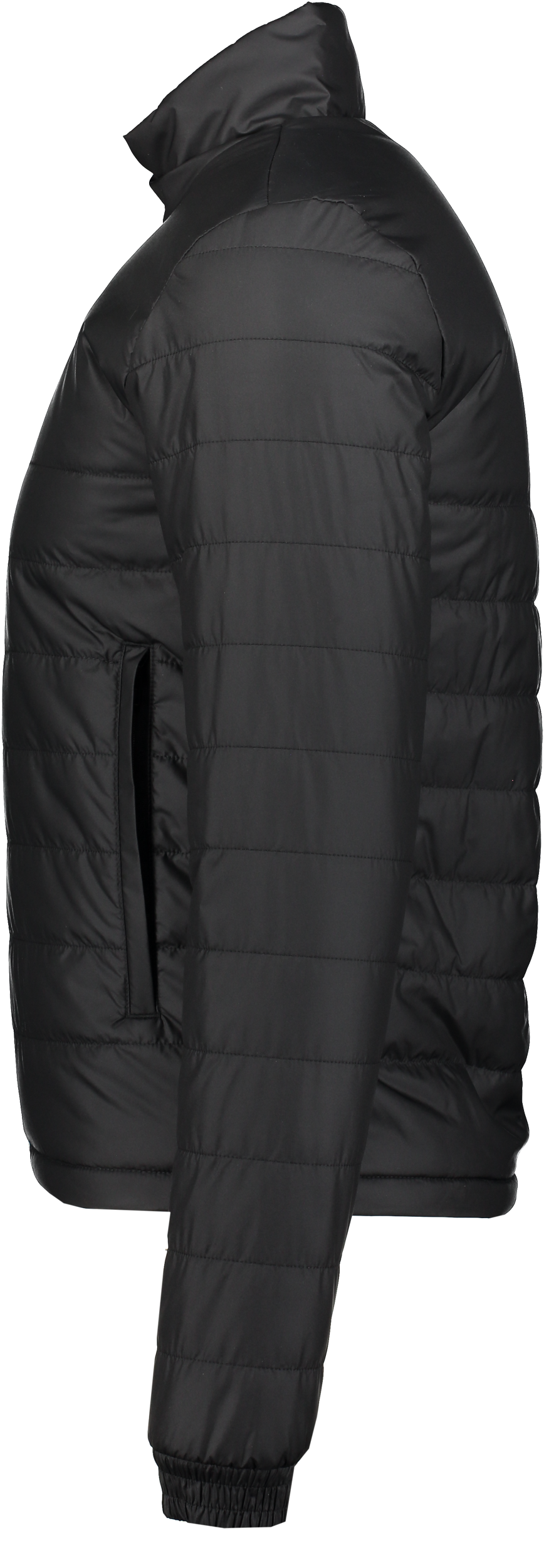 ADIDAS, Ent22 L Jkt Jr