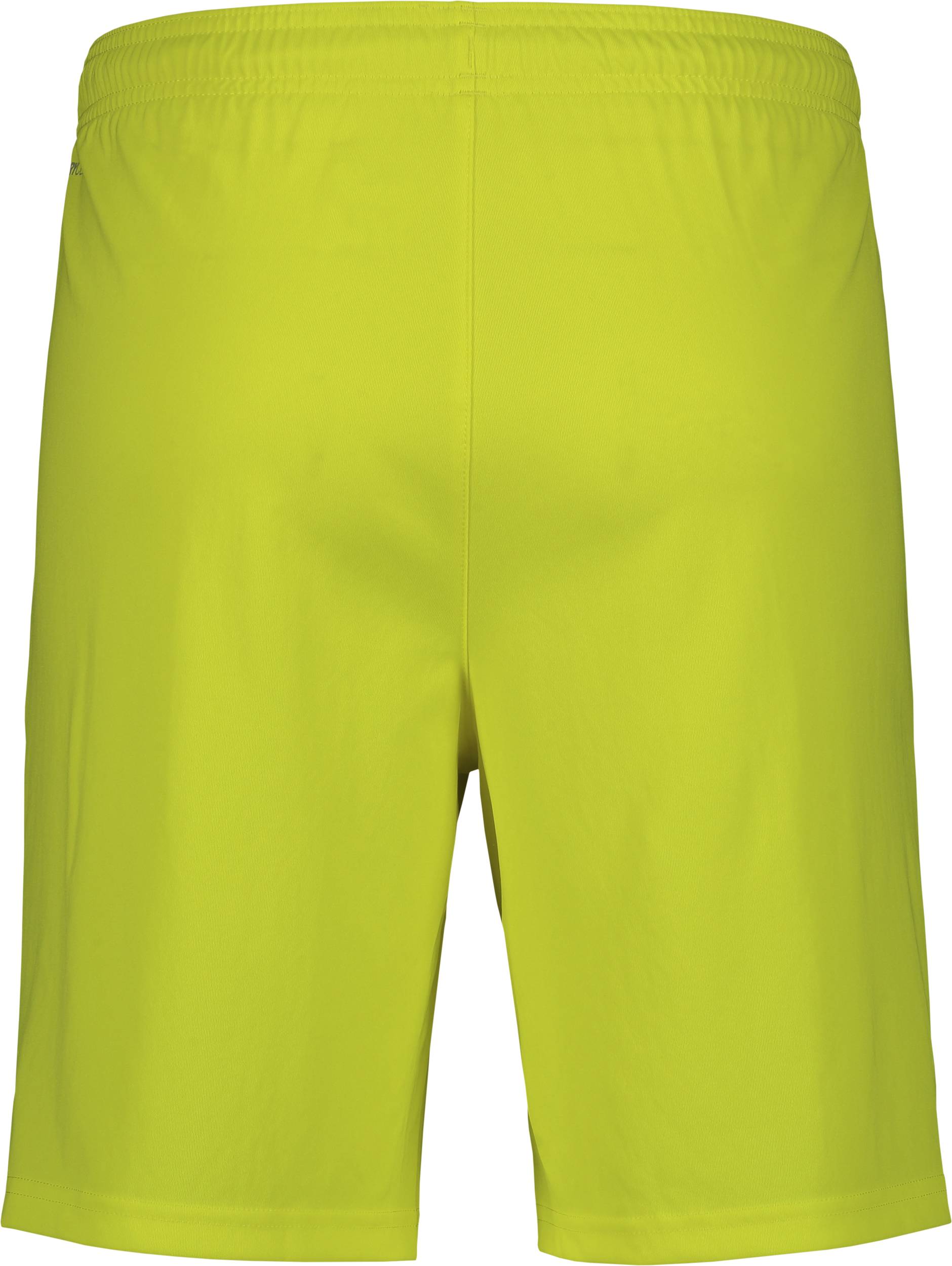 PUMA, T Liga Shorts Jr
