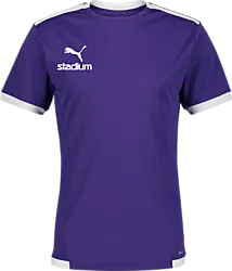 358884109101 PUMA T Liga Ss Jsy 358884109101 PUMA T Liga Ss Jsy Standard Small1x1