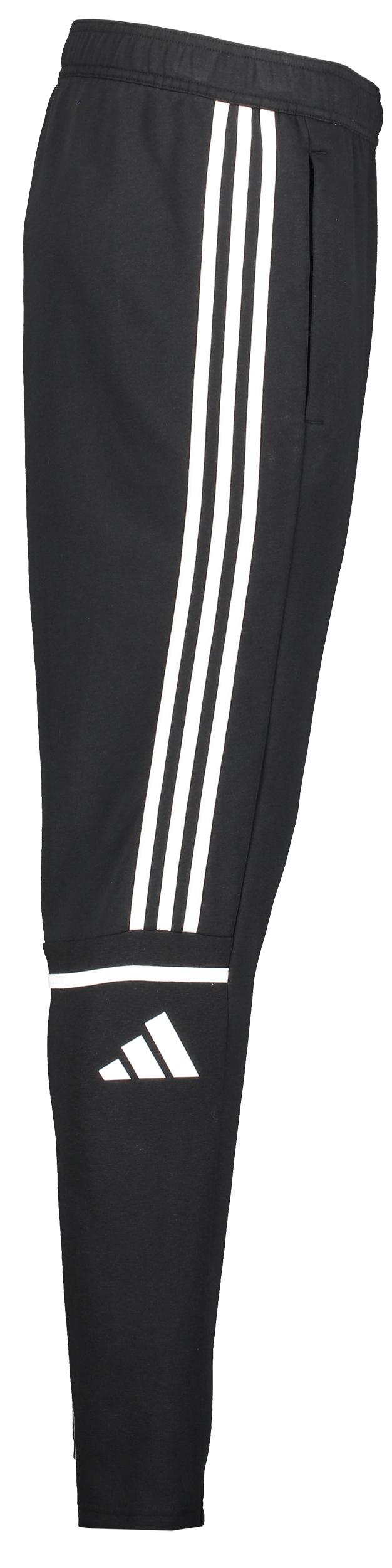 ADIDAS, Squad25 Sw Pnt