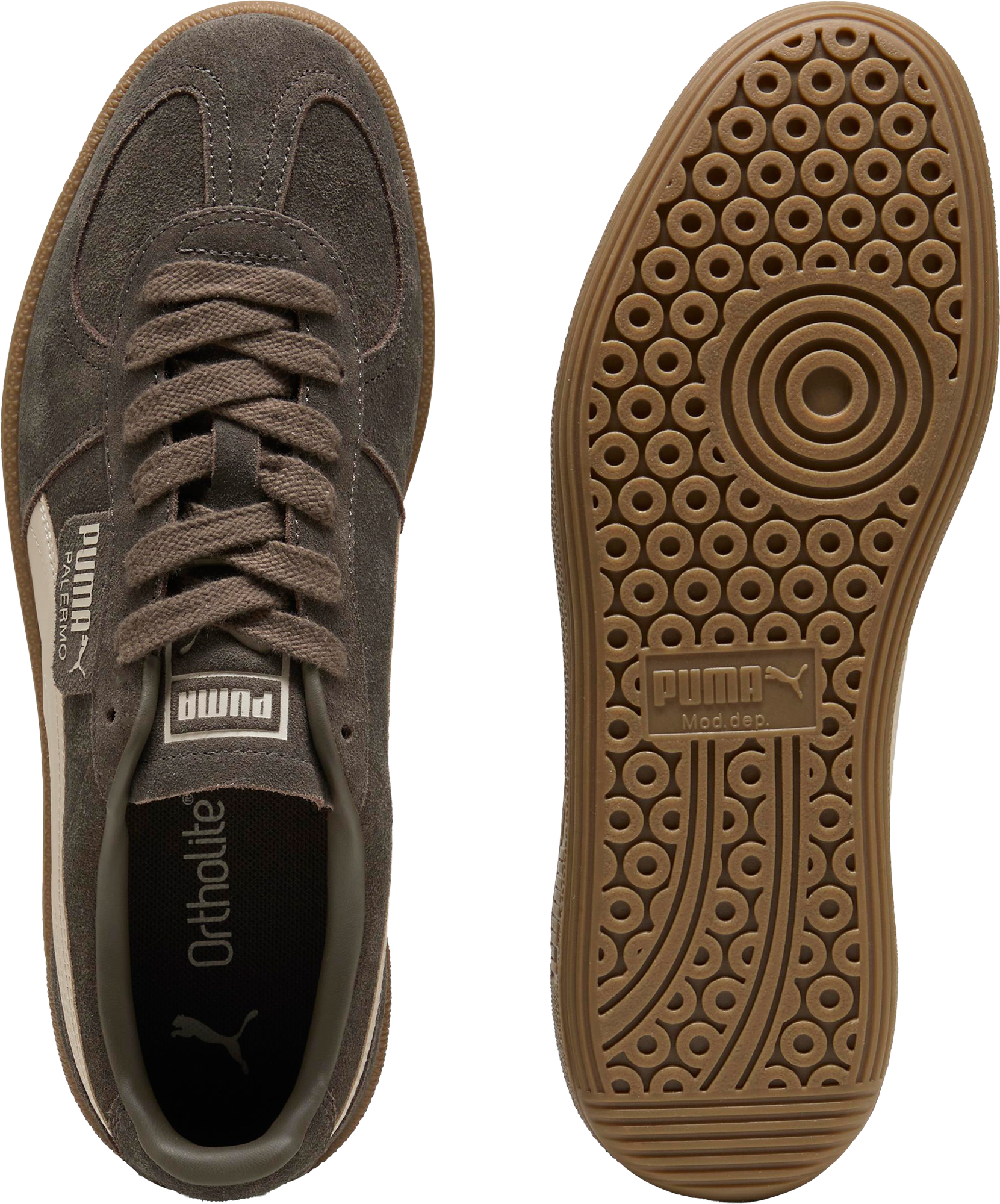 PUMA, U PALERMO