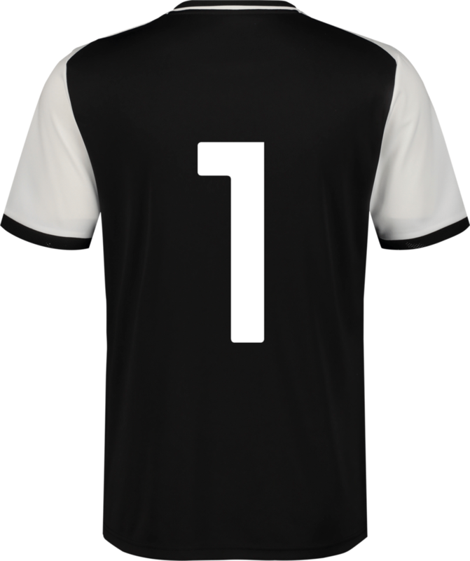 PUMA, TEAMLIGA26 MATCHDAY JERSEY