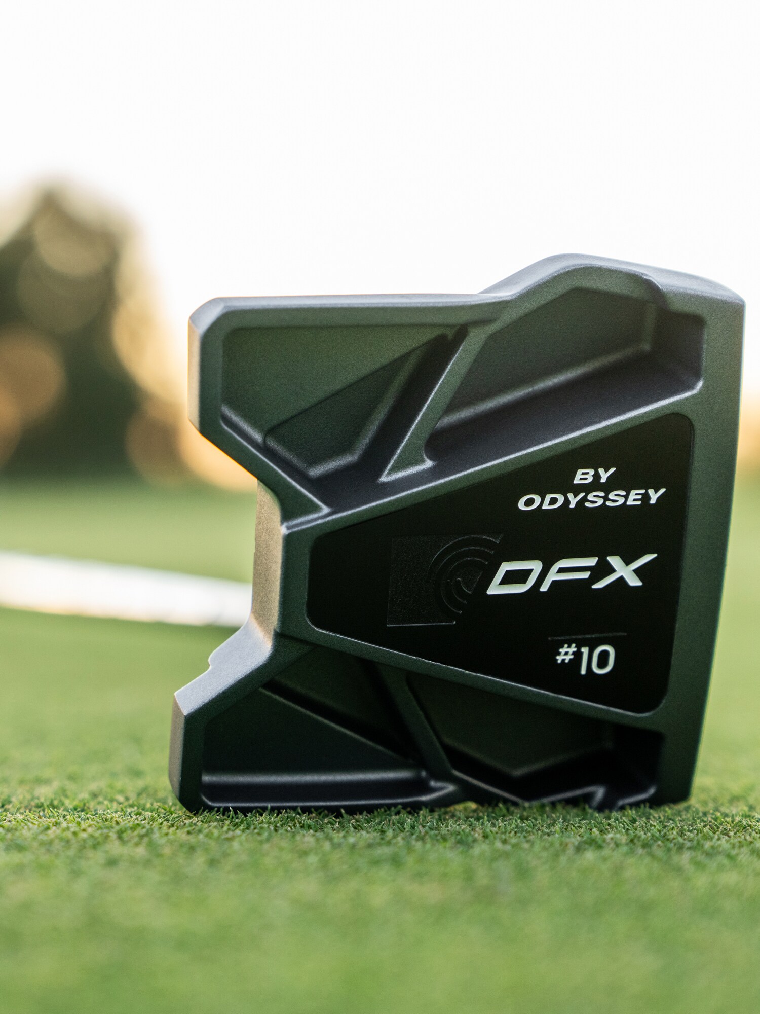 
ODYSSEY, 
Dfx 25 Ten S Pstl Rh, 
Detail 1
