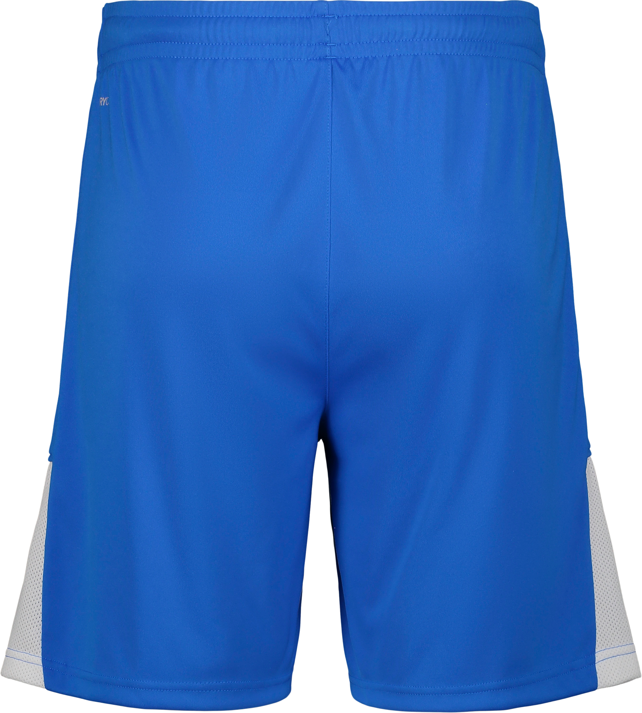 PUMA, TEAMLIGA26 SHORTS JR
