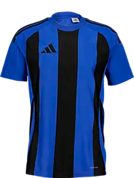 Striped 24 Jsy Jr - Royal/Black Standard Small1x1