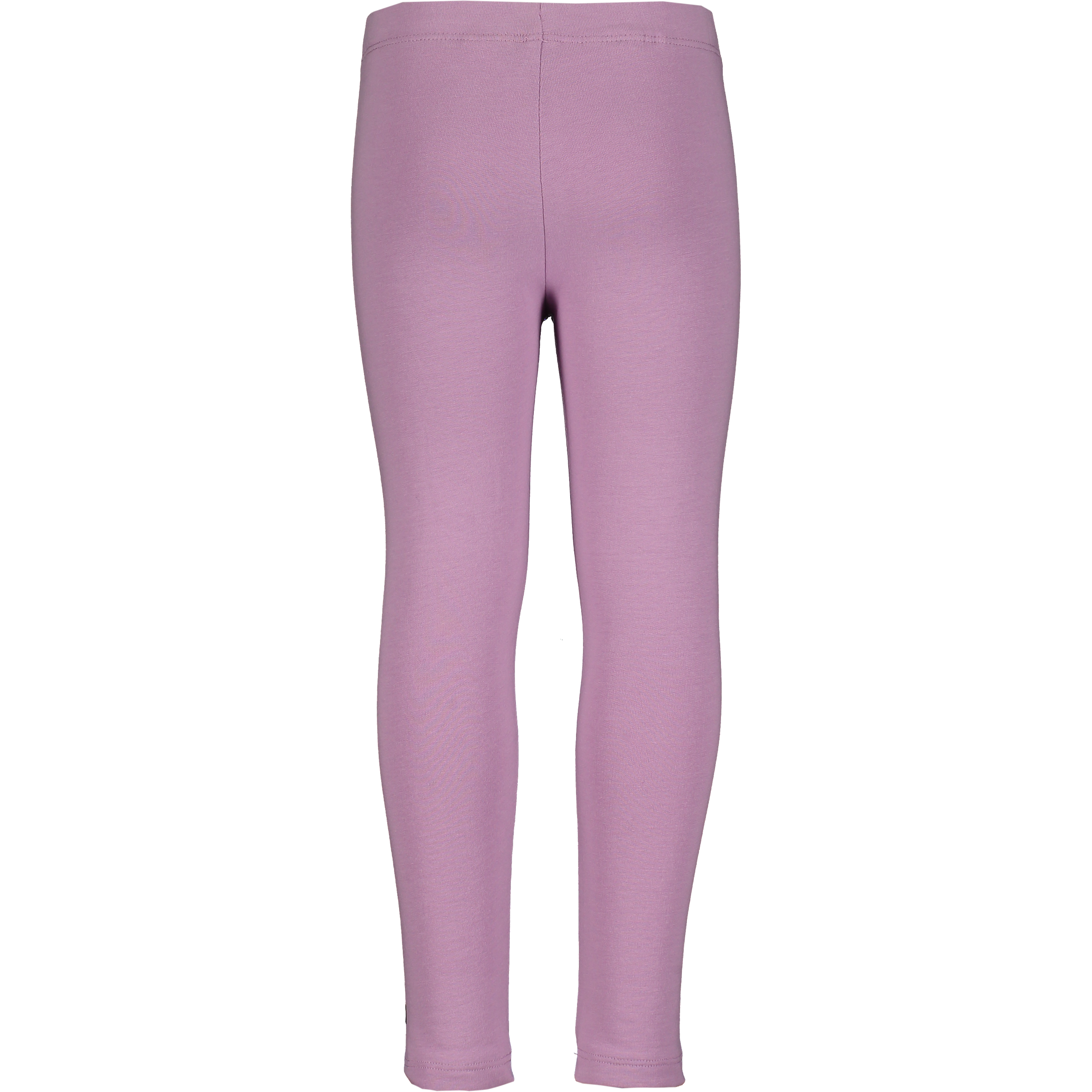 WARP, K Basic Tights