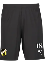 392286103101 PUMA T Goal Shorts Jr 392286103101 PUMA T Goal Shorts Jr Standard Small1x1