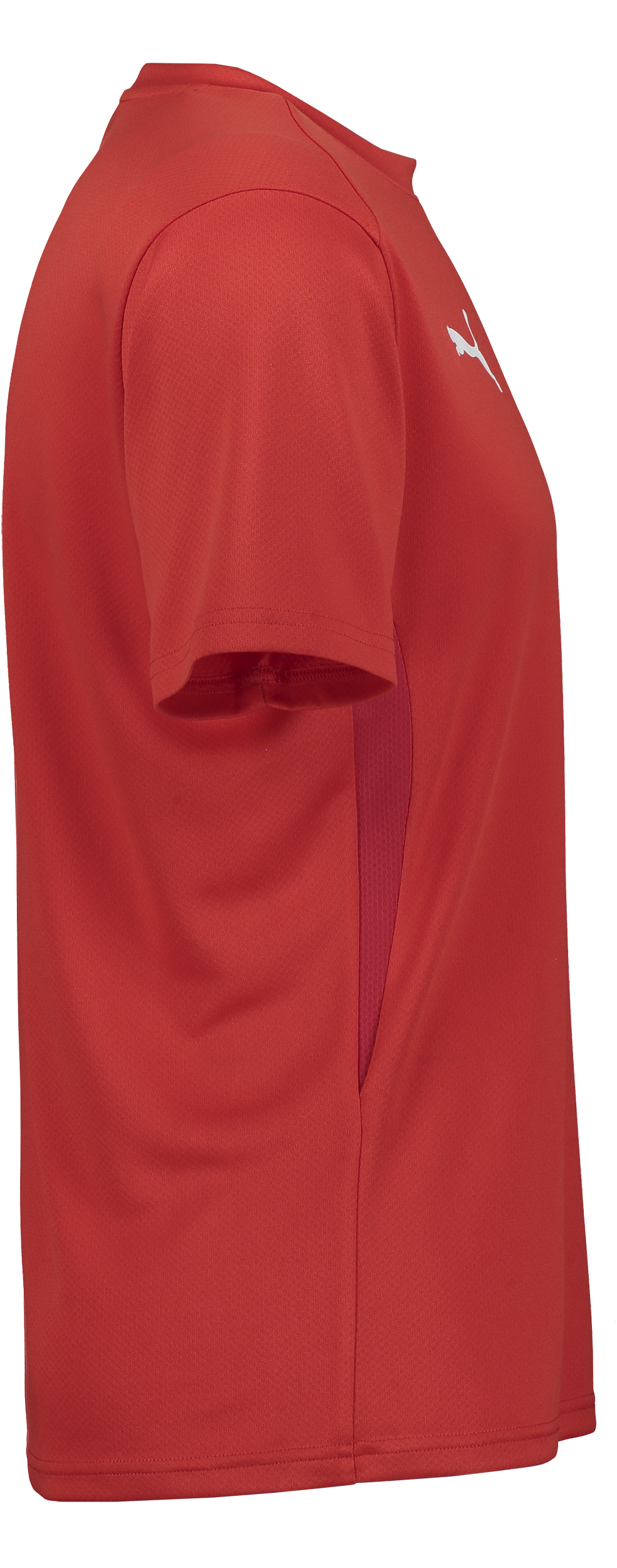 PUMA, T Goal Trg Jsy Jr