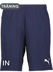 391942106101 PUMA T Goal Shorts 391942106101 PUMA T Goal Shorts Standard Small1x1