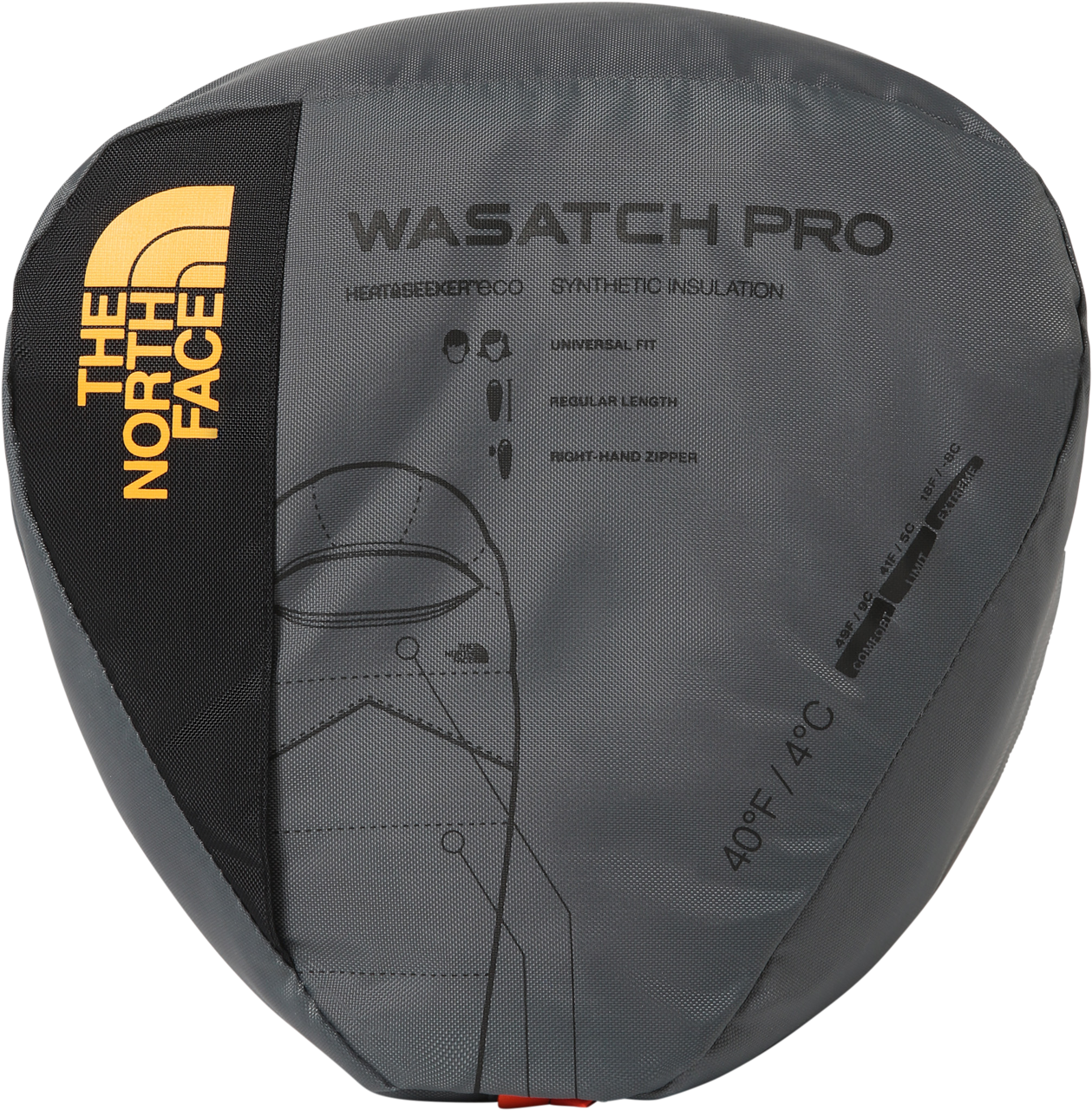 THE NORTH FACE, Wasatch Pro 40