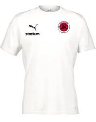 392096104101 PUMA T Goal Trg Jsy Jr 392096104101 PUMA T Goal Trg Jsy Jr Standard Small1x1