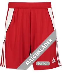 394990102101 ADIDAS Tiro24 Sho Jr 394990102101 ADIDAS Tiro24 Sho Jr Standard Small1x1