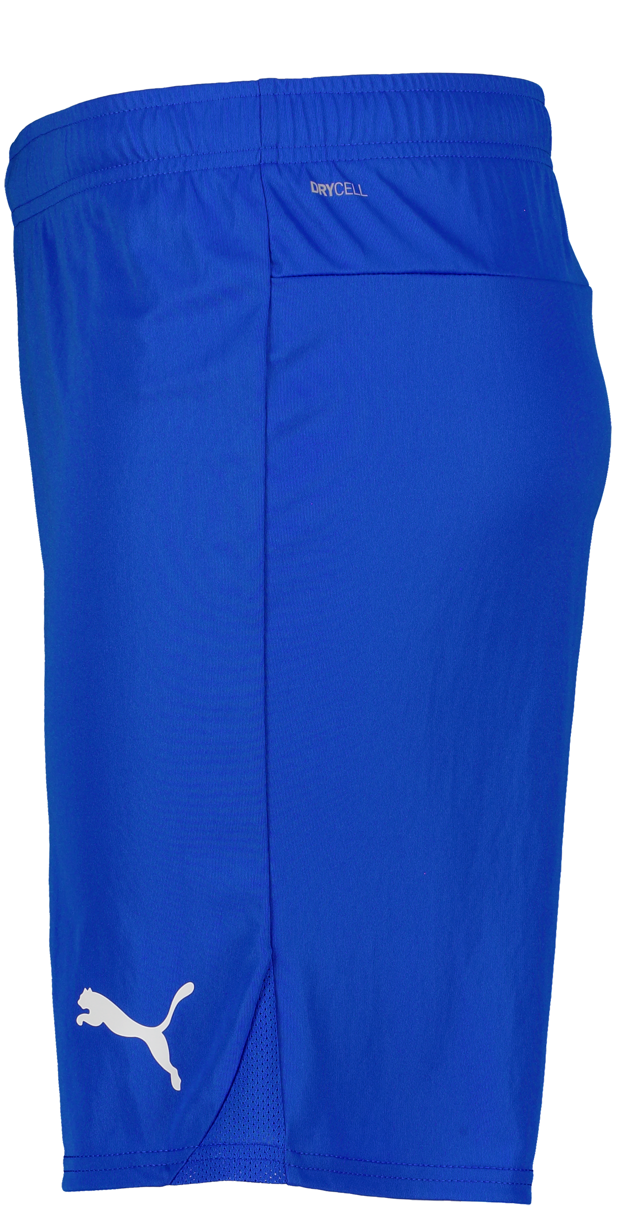 PUMA, T Goal Shorts