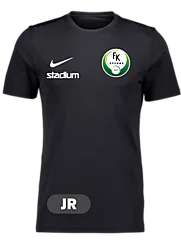 299008101101 NIKE Park VII SS Jsy Jr 299008101101 NIKE Park VII SS Jsy Jr Standard Small1x1