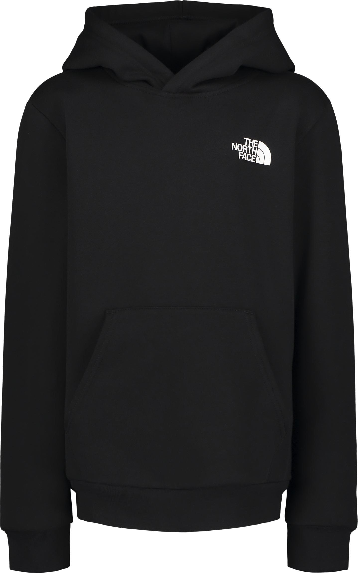 
THE NORTH FACE, 
J TEEN EVOLUTION BOX NSE PULLOVER HOODIE, 
Detail 1
