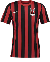 326366108101 NIKE Stripe Div Iv Jsy 326366108101 NIKE Stripe Div Iv Jsy Standard Small1x1
