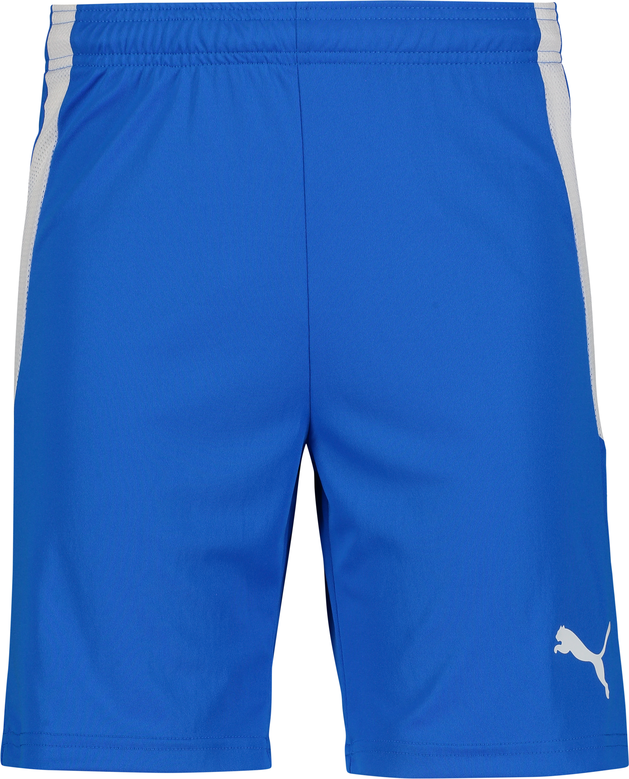 
PUMA, 
T Liga Shorts, 
Detail 1
