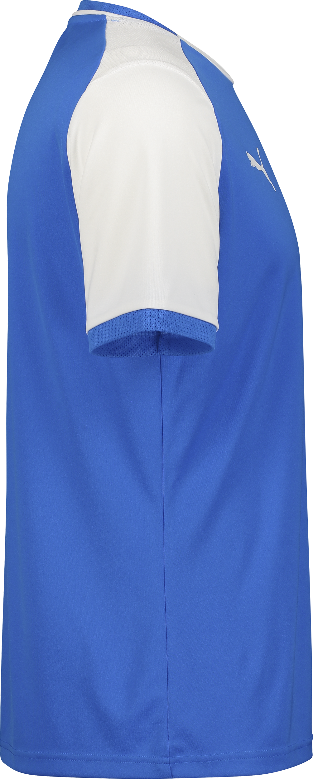 PUMA, TEAMLIGA26 MATCHDAY JERSEY JR