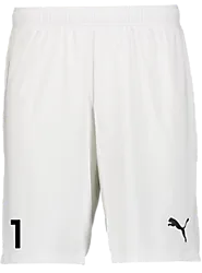 392286104101 PUMA T Goal Shorts Jr 392286104101 PUMA T Goal Shorts Jr Standard Small1x1