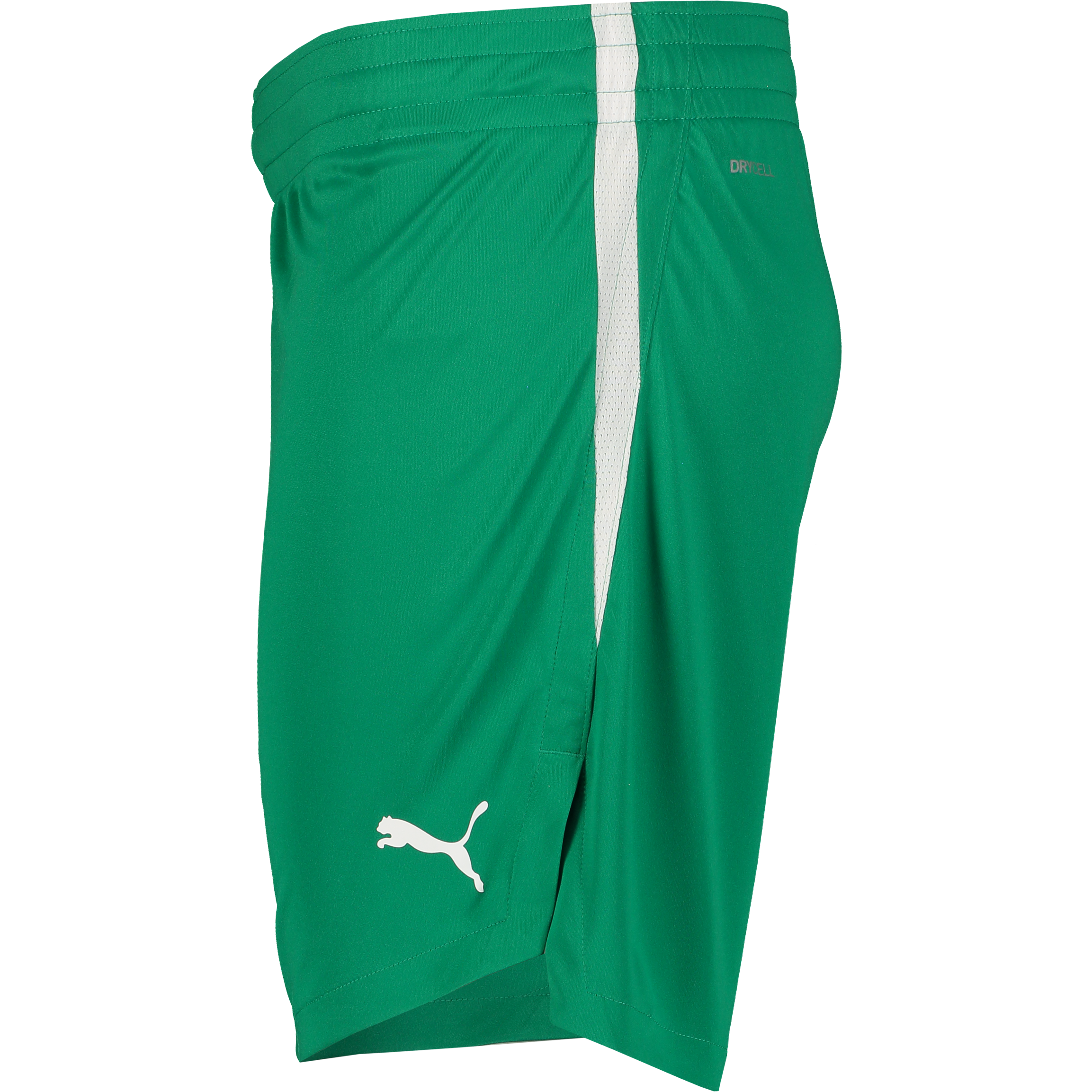 PUMA, TEAMJAWS STARTER SHORTS JR