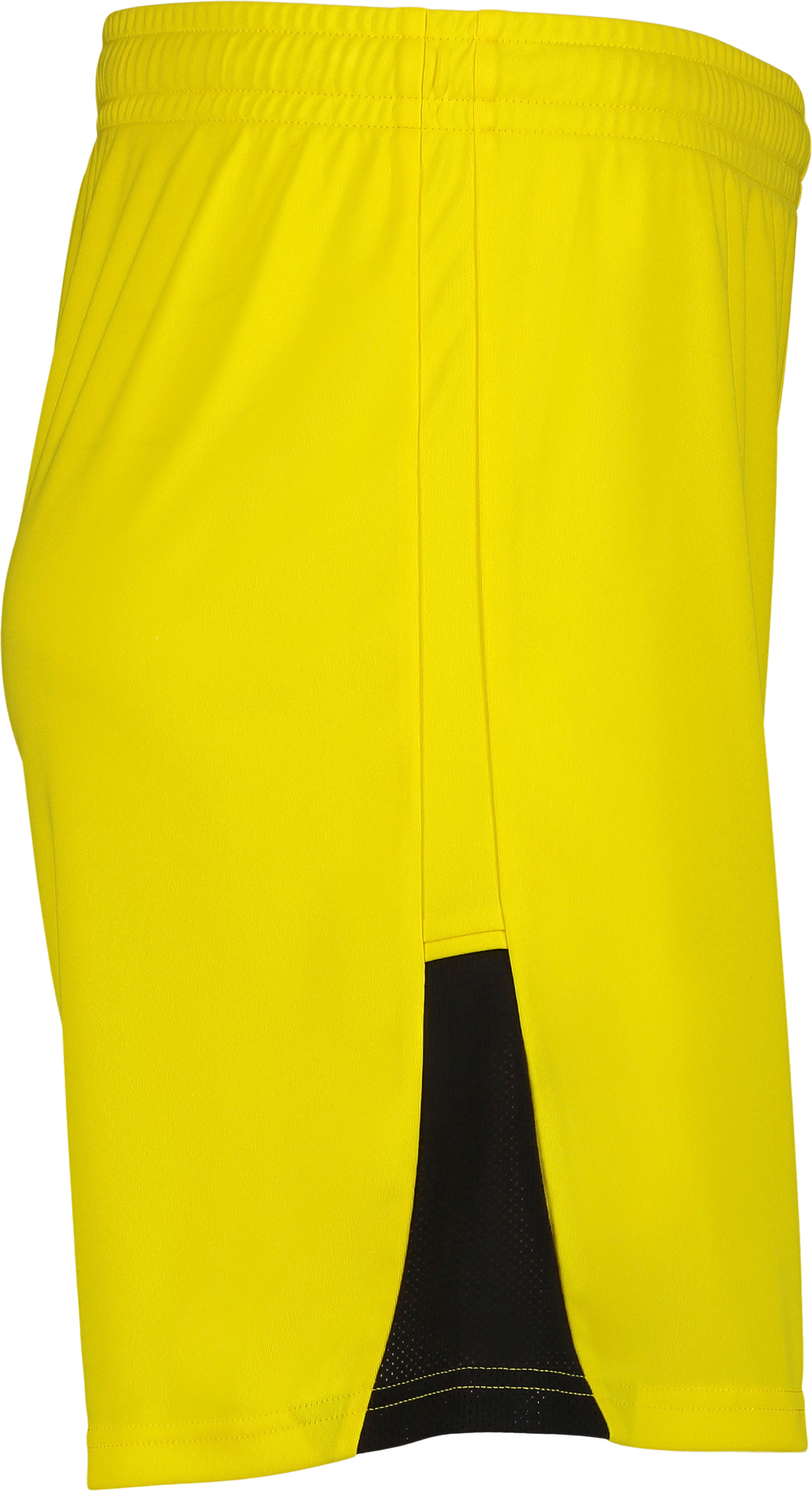 PUMA, TEAMLIGA26 SHORTS