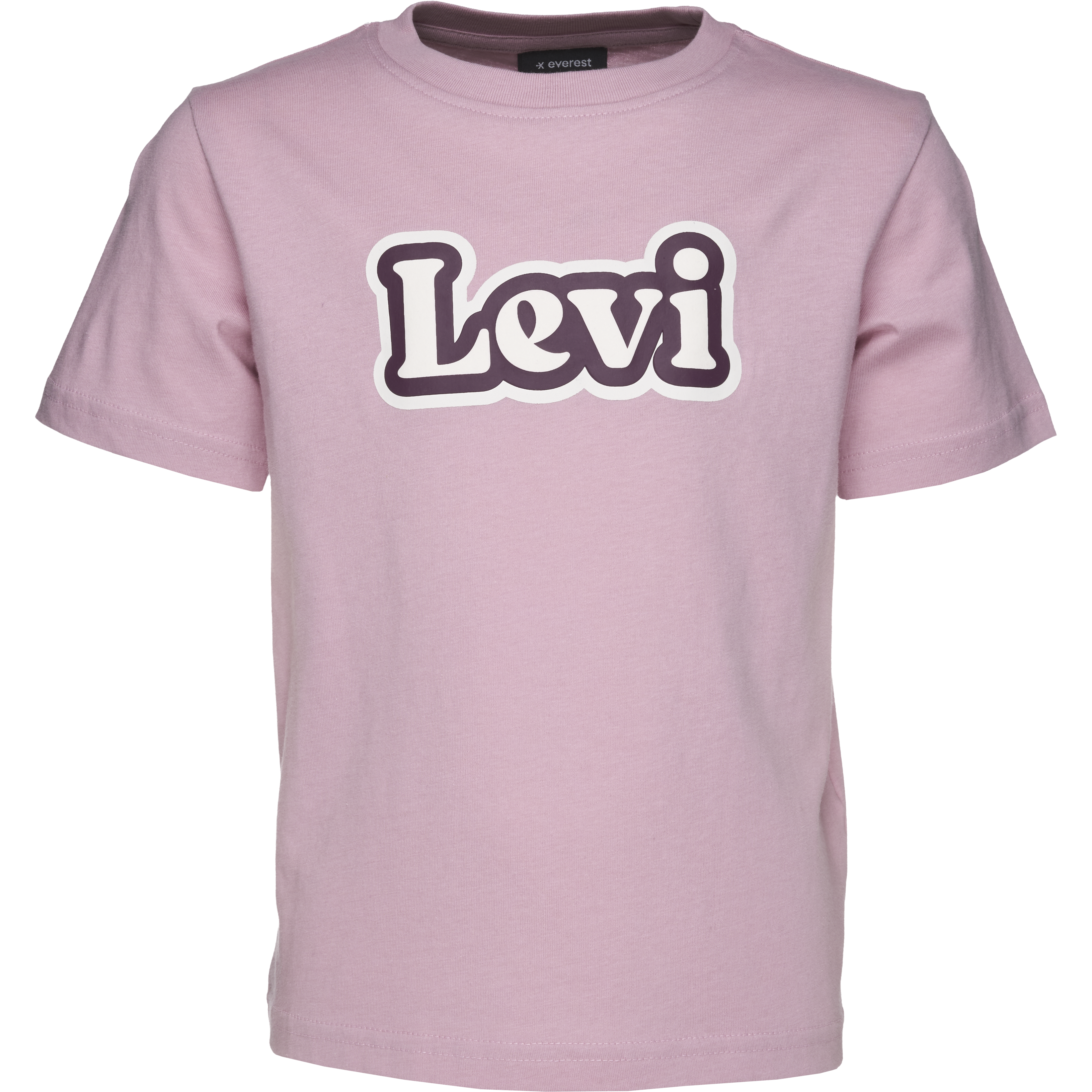 
EVEREST, 
J Levi Tee, 
Detail 1
