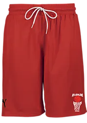 387570103101 PUMA Hoops Team Practice Short 387570103101 PUMA Hoops Team Practice Short Standard Small1x1