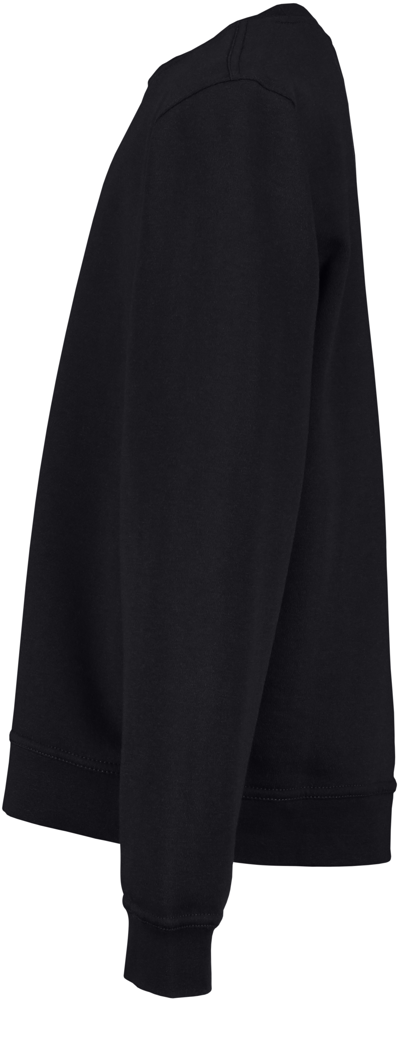 CLIQUE, Basic Round N Jr