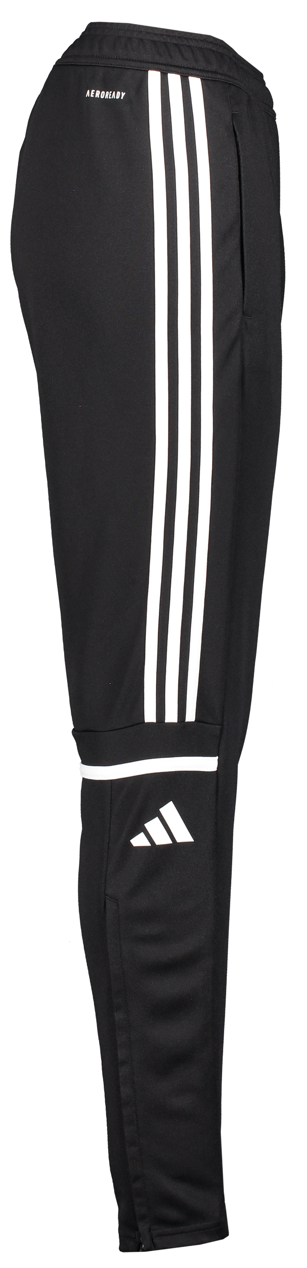 ADIDAS, Squad25 Tr Pnt W