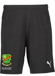 392286103101 PUMA T Goal Shorts Jr 392286103101 PUMA T Goal Shorts Jr Standard Small1x1