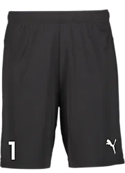 391942103101 PUMA T Goal Shorts 391942103101 PUMA T Goal Shorts Standard Small1x1