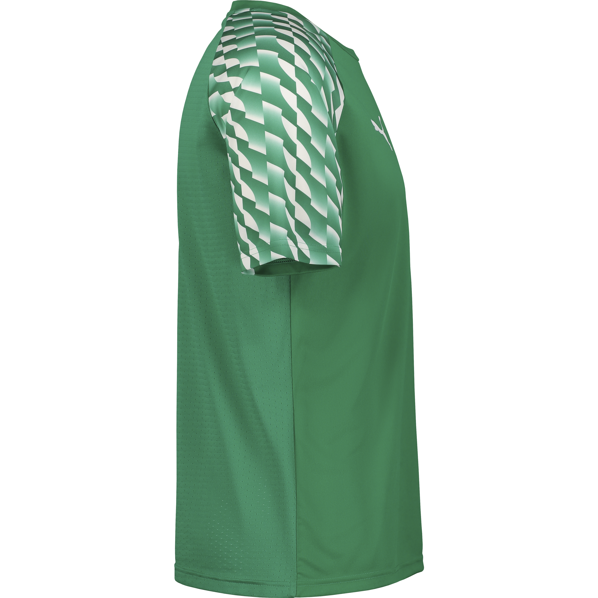 PUMA, TEAMLIGA26 JERSEY