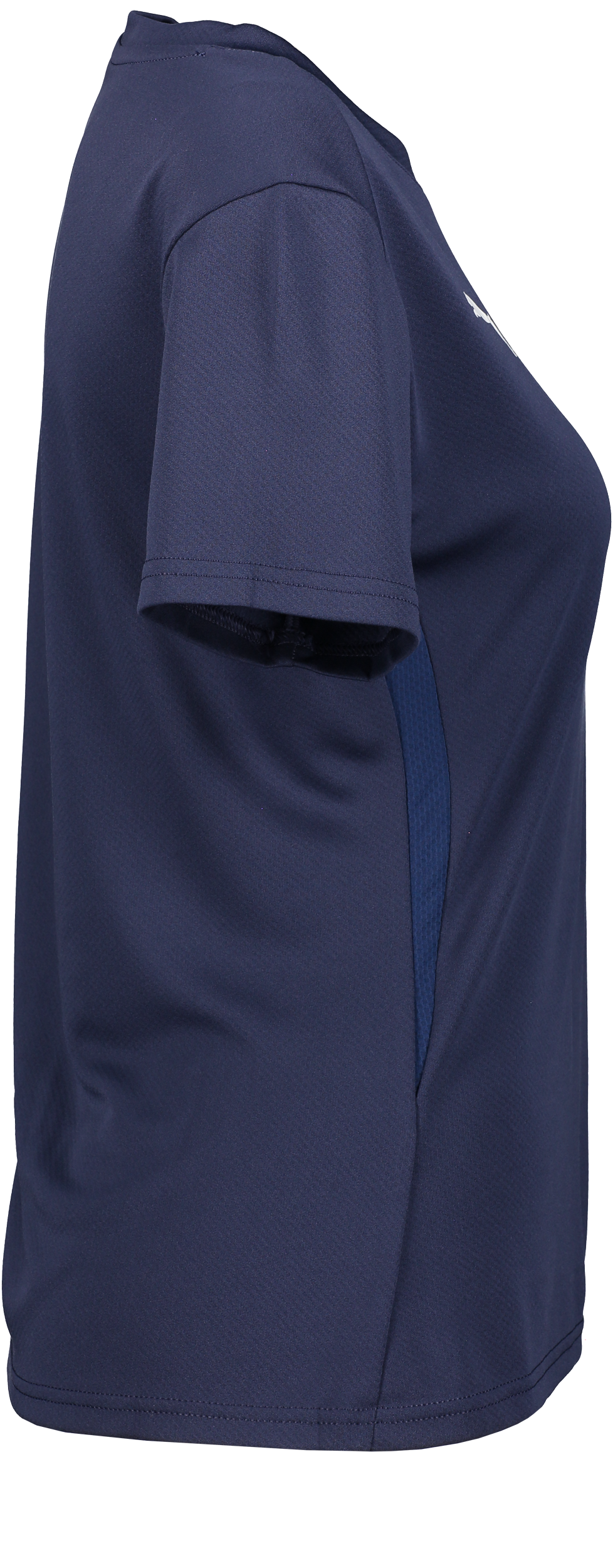 PUMA, T Goal Trg Jsy W