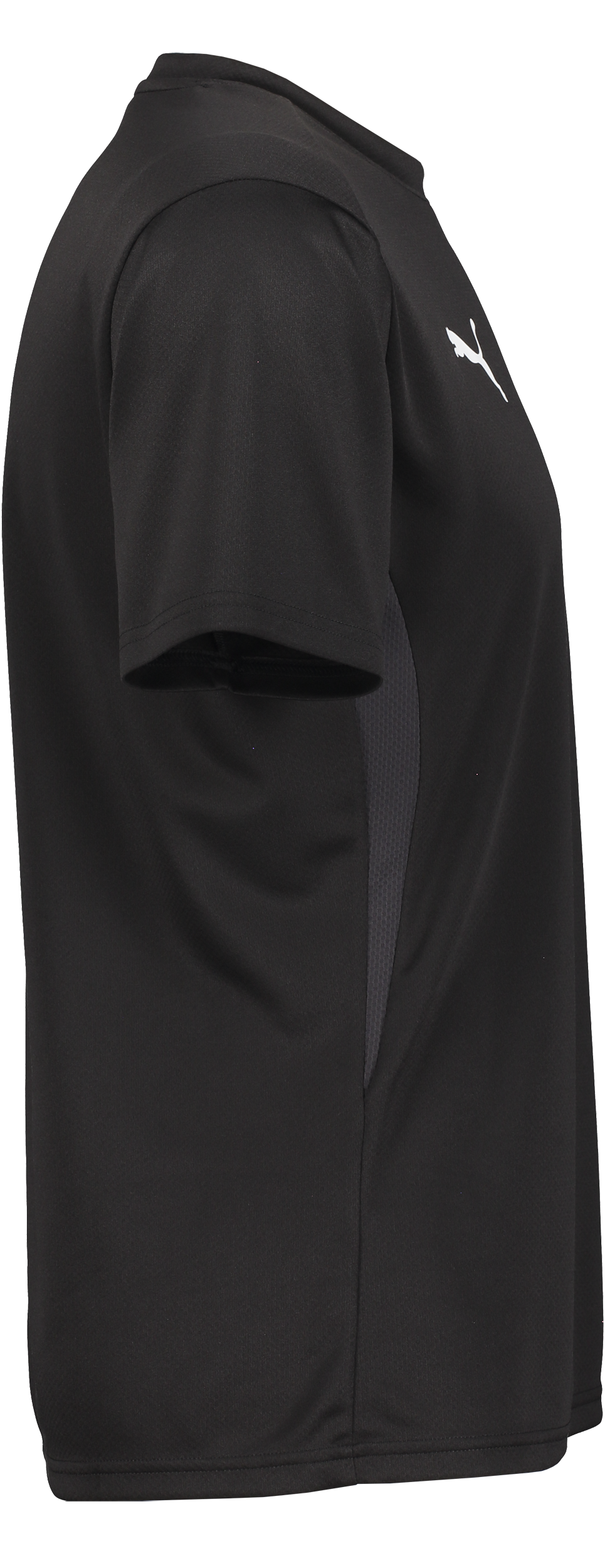 PUMA, T Goal Trg Jsy Jr