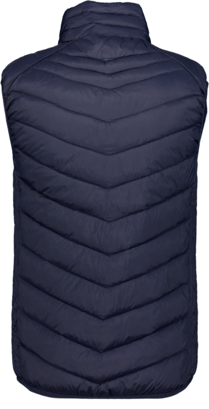 CLIQUE, Idaho Vest