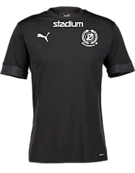394120103101 PUMA T Goal Matchday Jsy 394120103101 PUMA T Goal Matchday Jsy Standard Small1x1