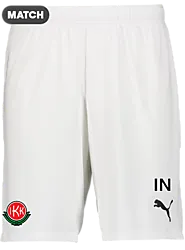 392286104101 PUMA T Goal Shorts Jr 392286104101 PUMA T Goal Shorts Jr Standard Small1x1