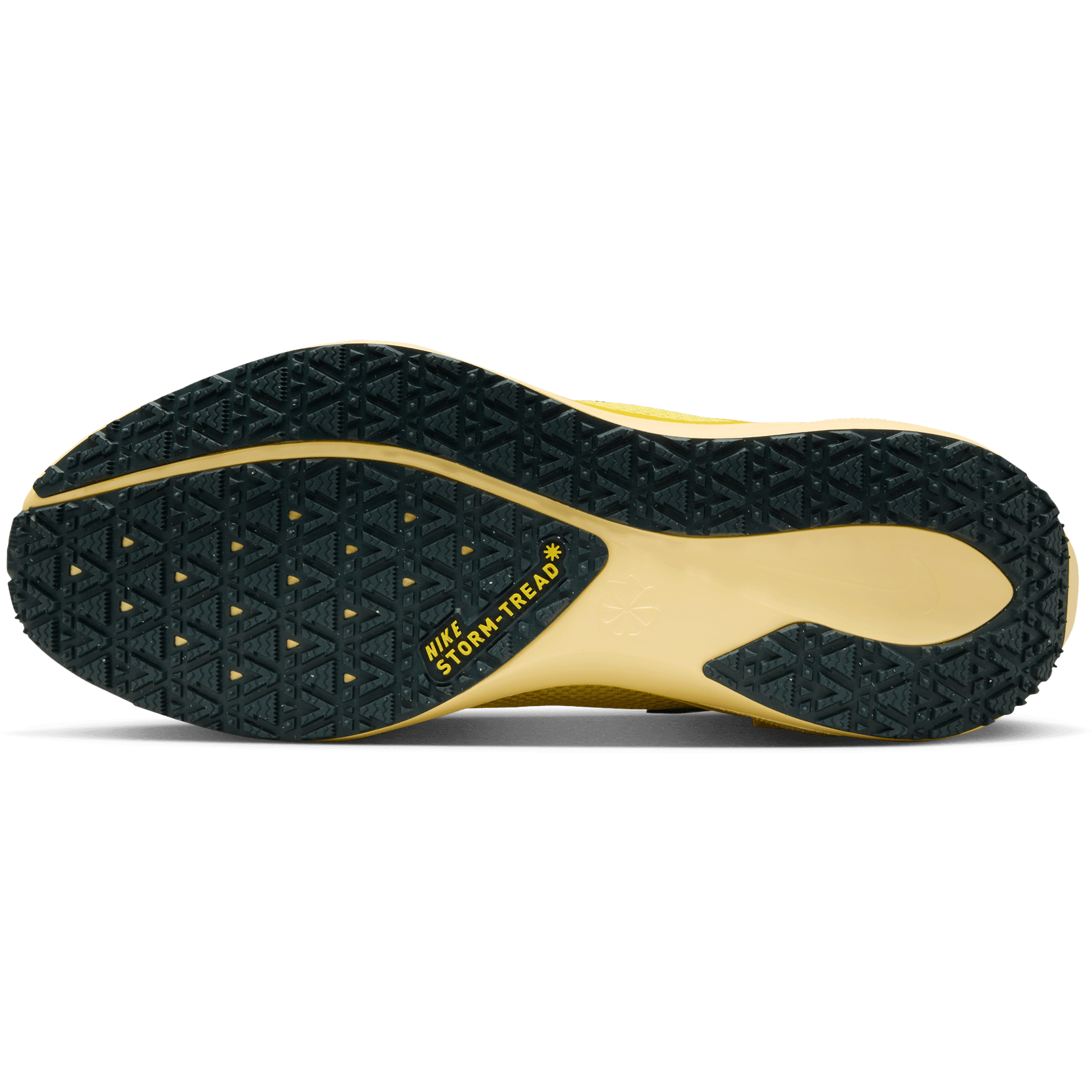 NIKE, M Pegasus 41 Gore-Tex