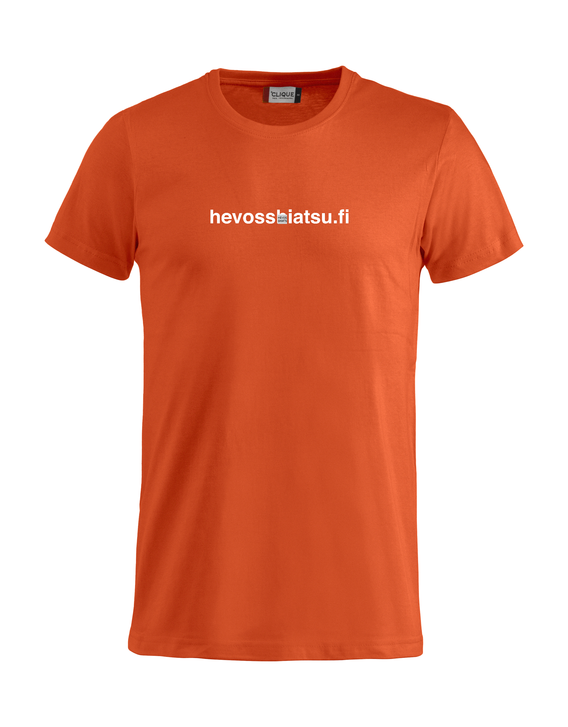 
CLIQUE, 
Basic-T, 
Detail 1
