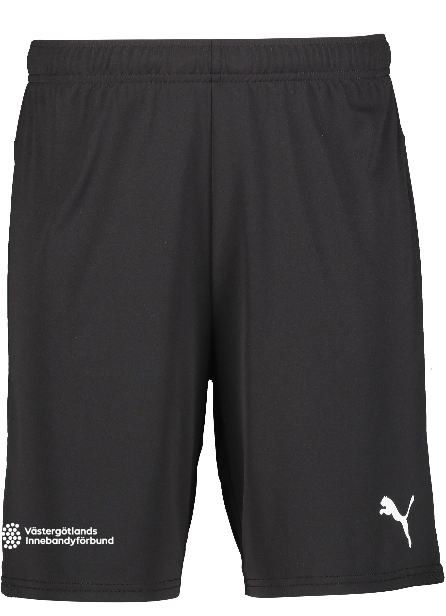 
PUMA, 
T Goal Shorts, 
Detail 1
