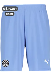 392286109101 PUMA T Goal Shorts Jr 392286109101 PUMA T Goal Shorts Jr Standard Small1x1