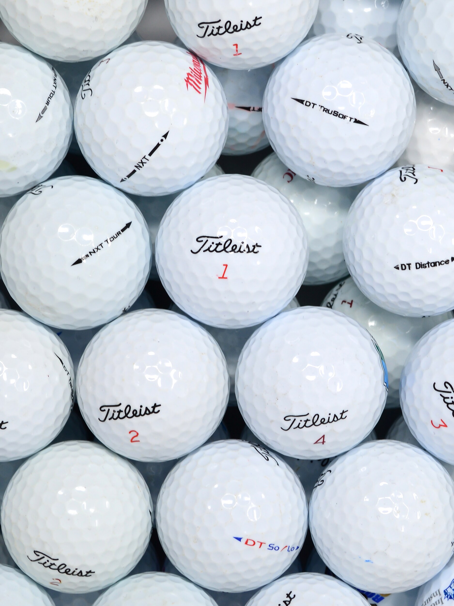 
SECOND CHANCE, 
24 MESH TITLEIST MIX GRADE A, 
Detail 1
