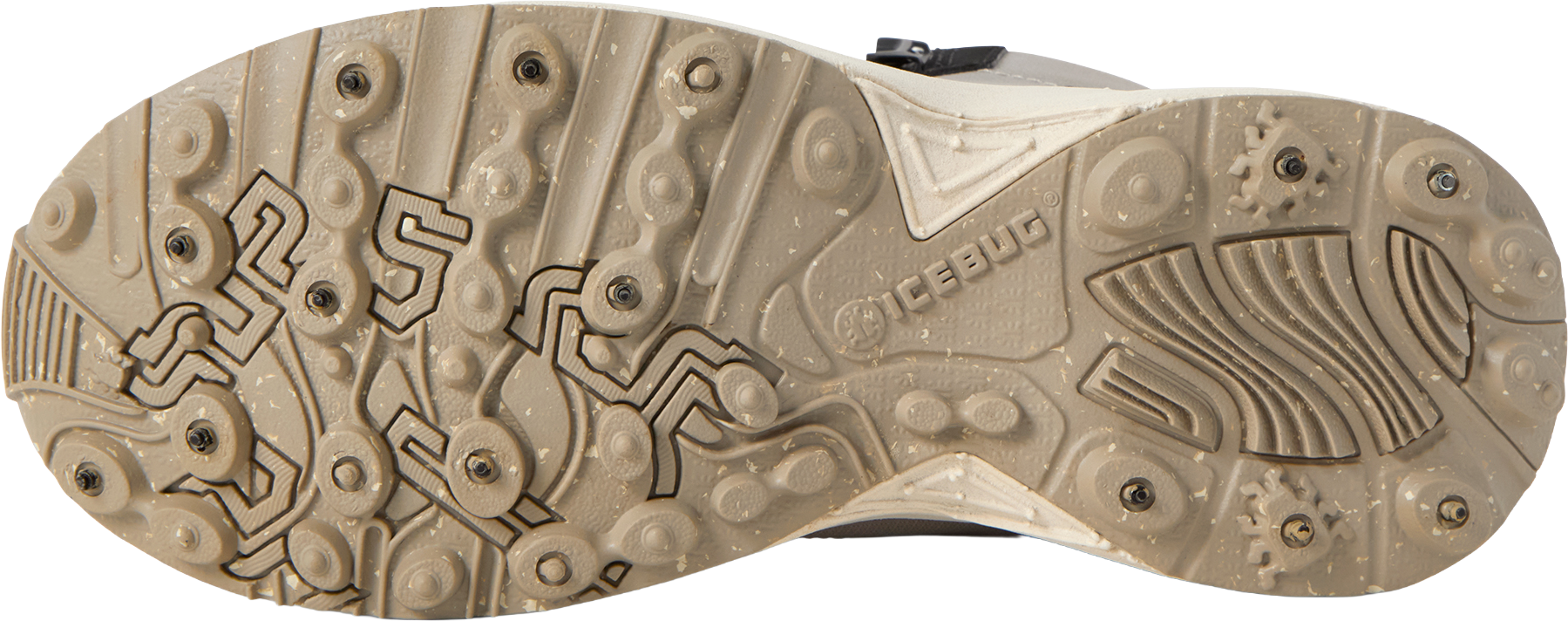 ICEBUG, W Norrvik Bugrip