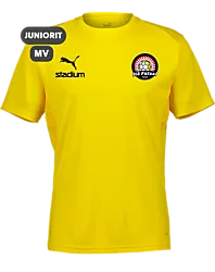 392096107101 PUMA T Goal Trg Jsy Jr 392096107101 PUMA T Goal Trg Jsy Jr Standard Small1x1