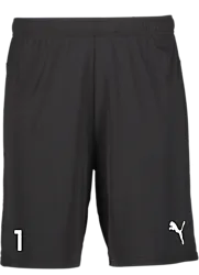 391942103101 PUMA T Goal Shorts 391942103101 PUMA T Goal Shorts Standard Small1x1